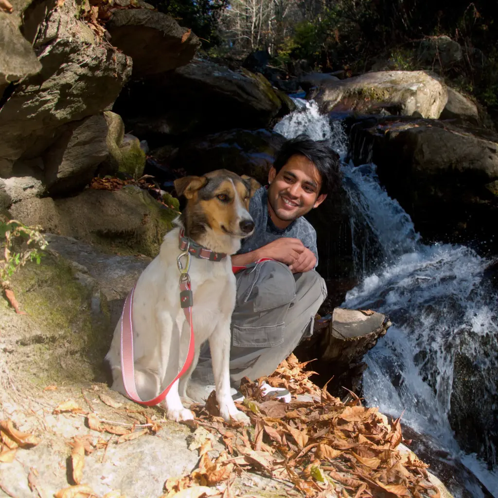 trail blazer collar & Leash - red.webp