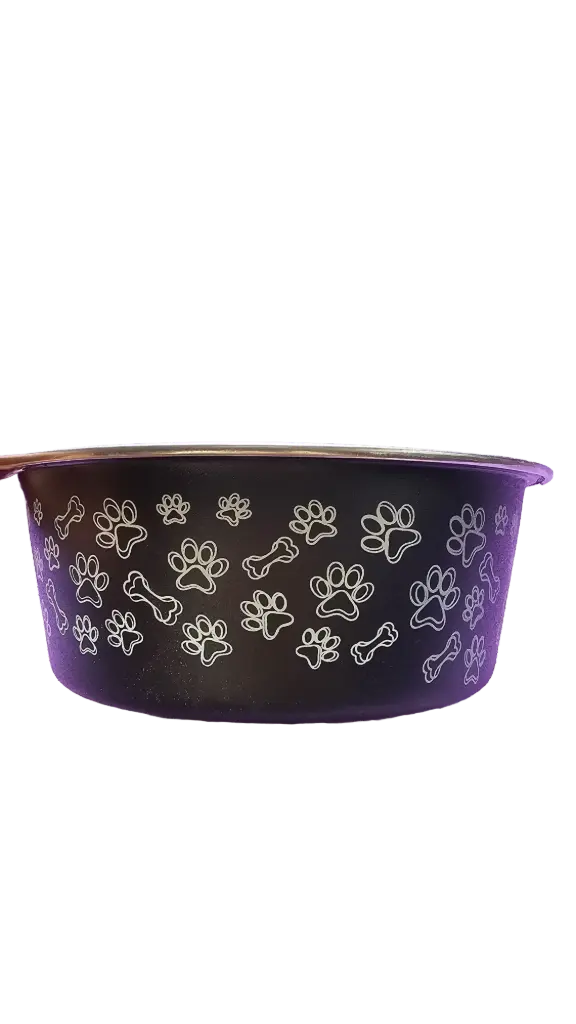 Holy Paws Fusion Dog Bowl (Small, Black)