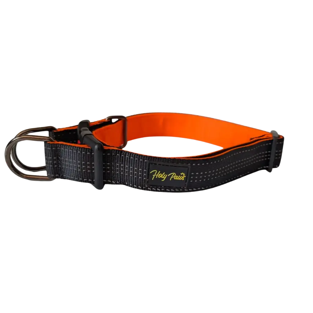 K9 Explorer Collar (Small, Black/Orange)