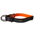 K9 Explorer Collar