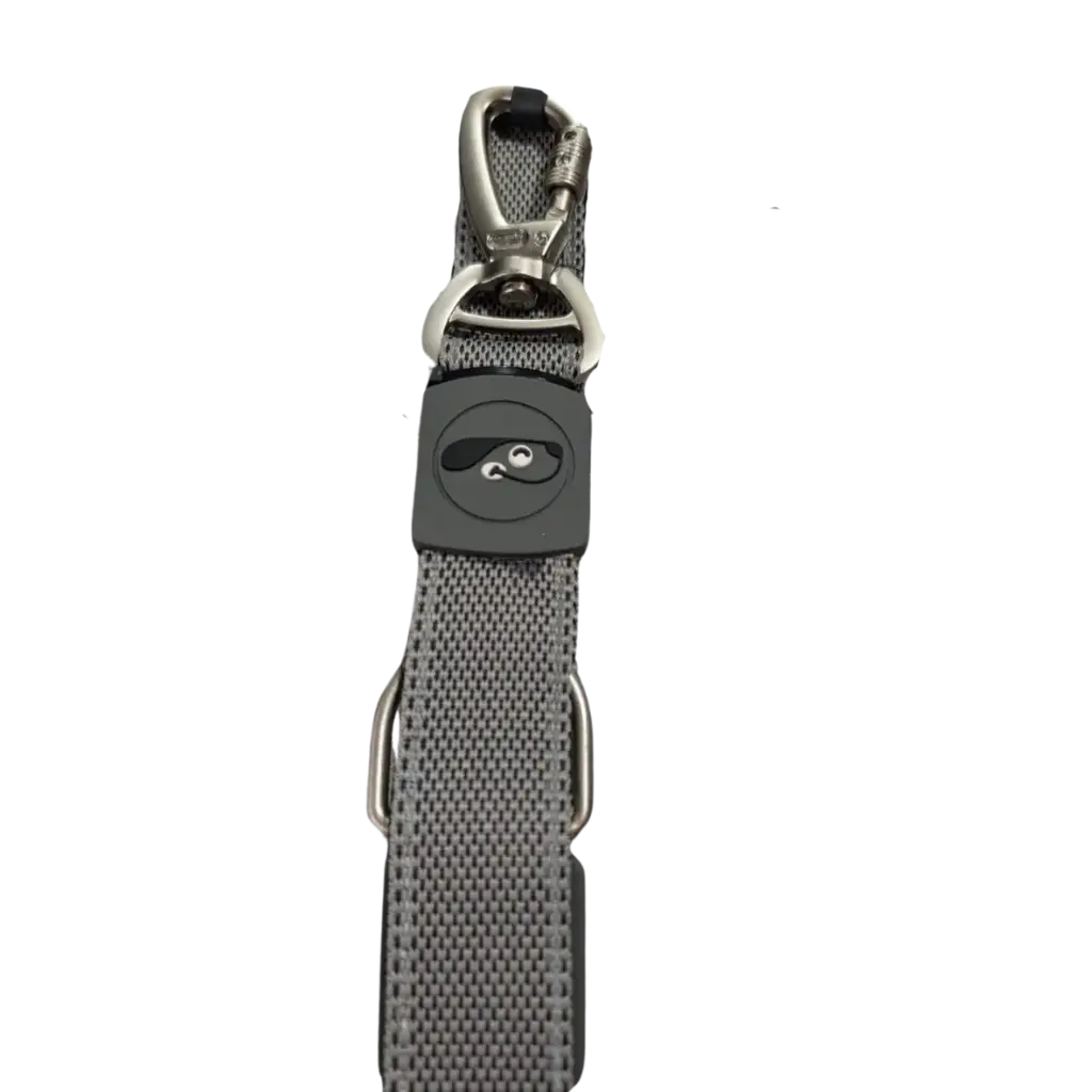 Trail Blazer Leash - (XL)