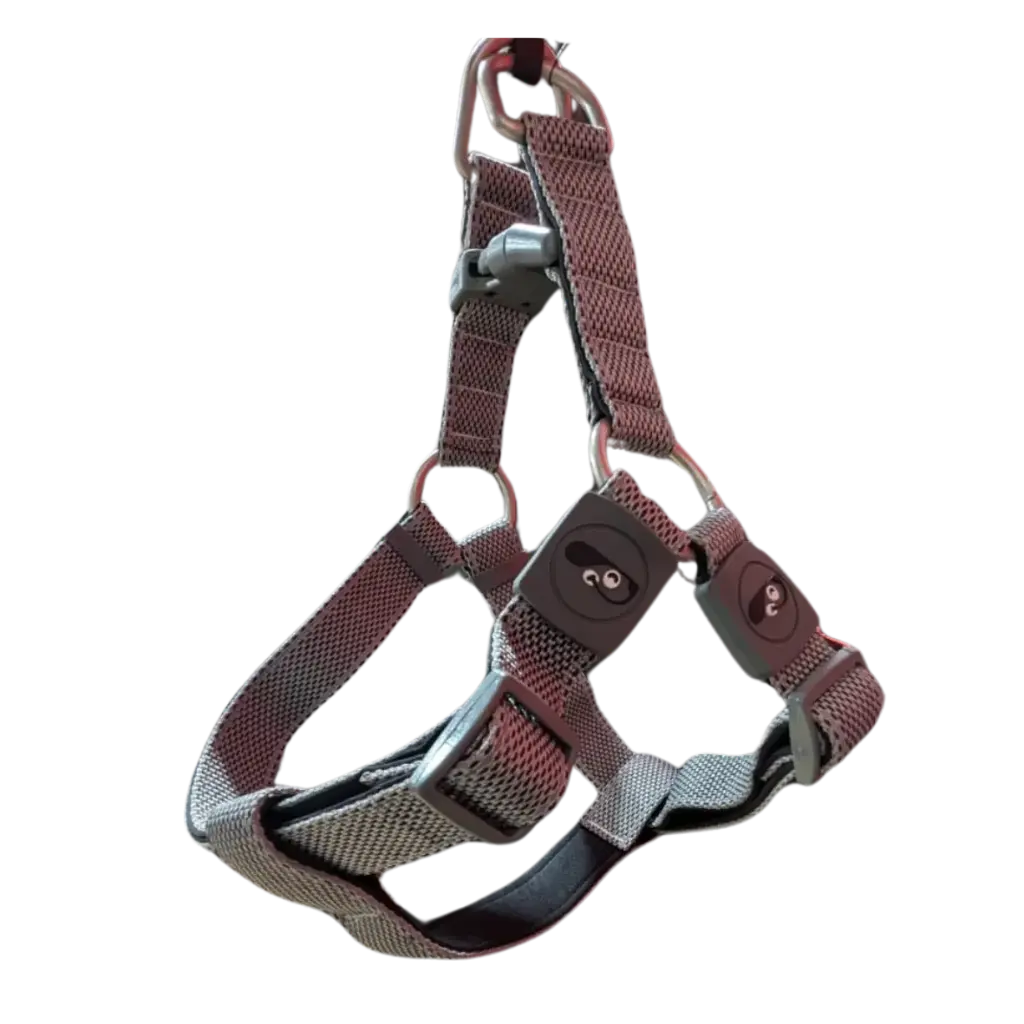 Trail Blazer Harness - (L)