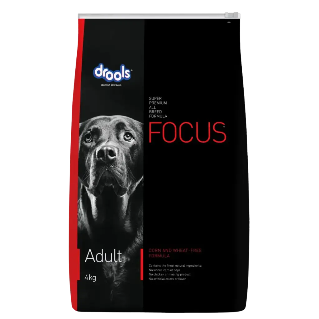 Drools Focus Adult Dry Food - 4 kg
