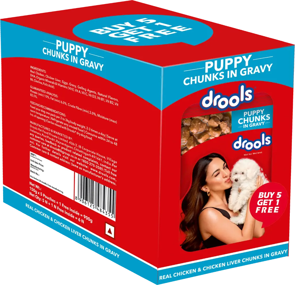 Drools Puppy Chunks in Gravy - Chicken & Liver (60 g) x 6 