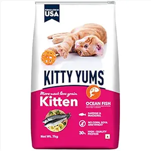 Kitty Yums Kitten Dry Food - Ocean Fish