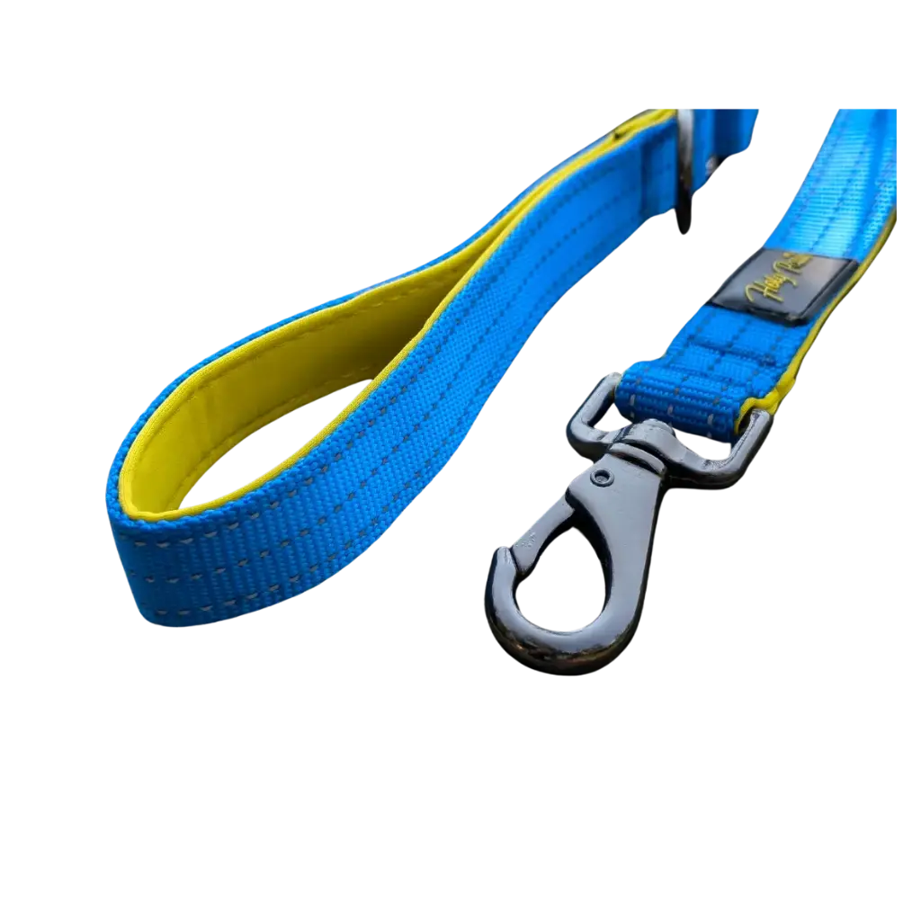 K9 Explorer Leash (Small, Blue/Yellow)