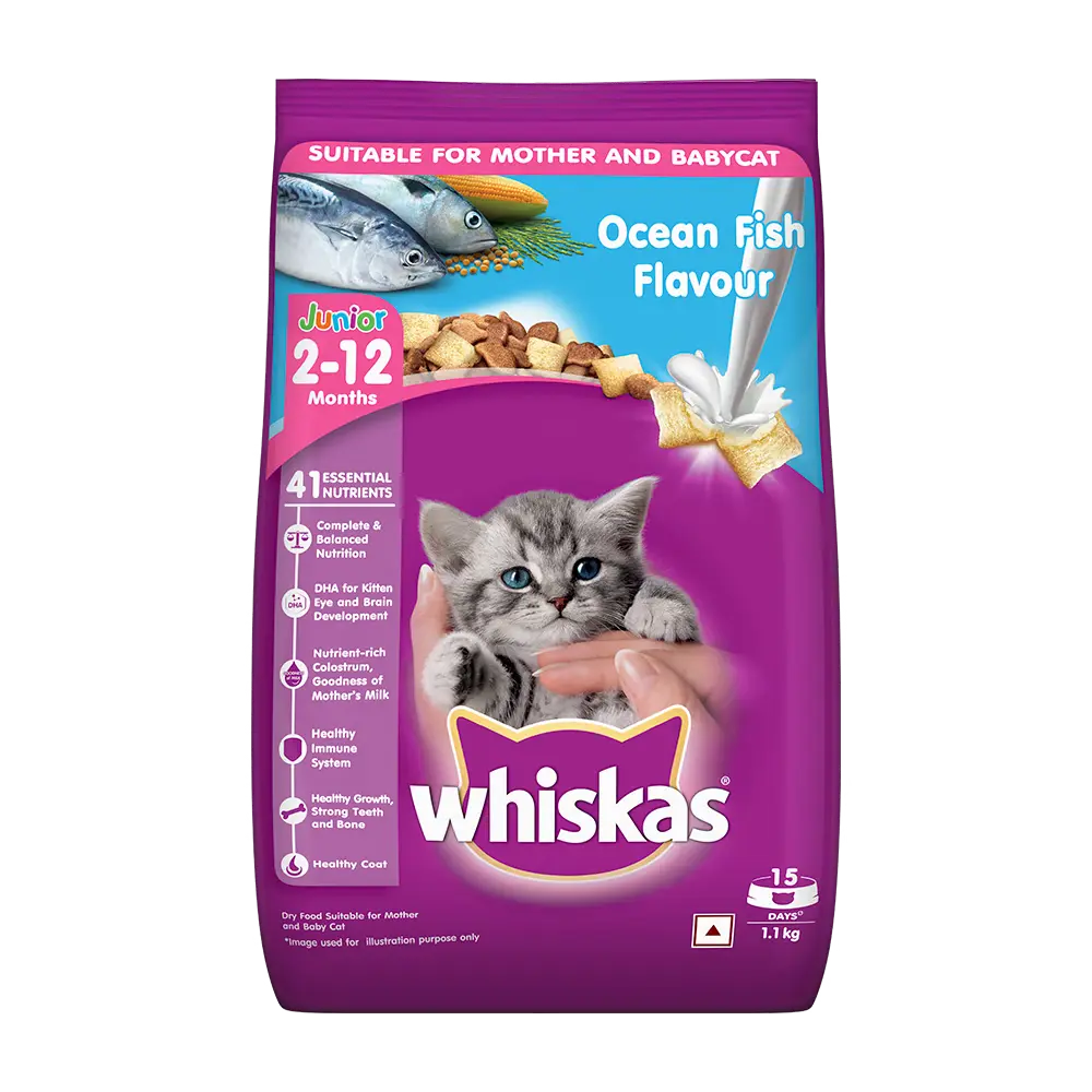 Whiskas® Kitten Dry Food, Ocean Fish