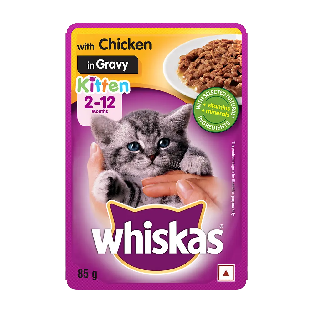 Whiskas® Junior Wet Food, Chicken in Gravy
