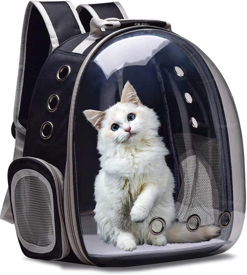 Astronaut Cat Carrying Bag - full window
