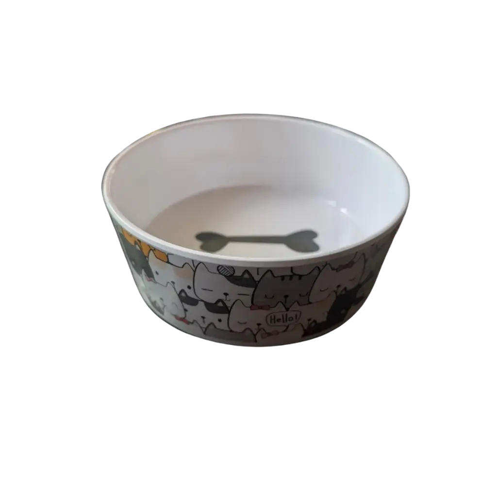 Kitty Party Bowl 