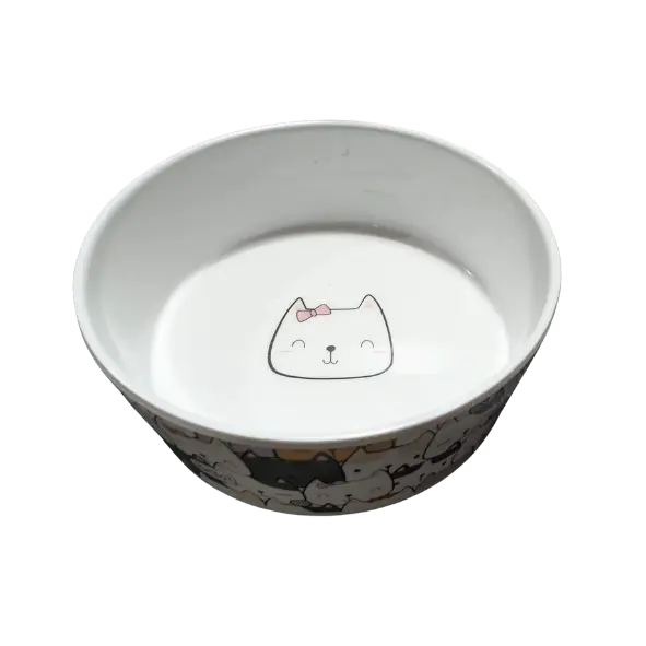 Kitty Party Bowl 