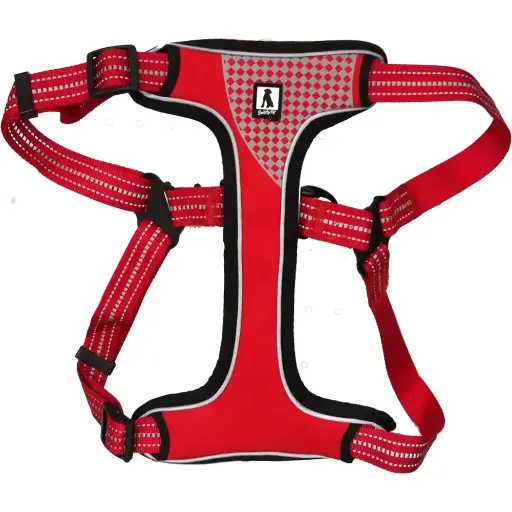 Alpine Quest Harness