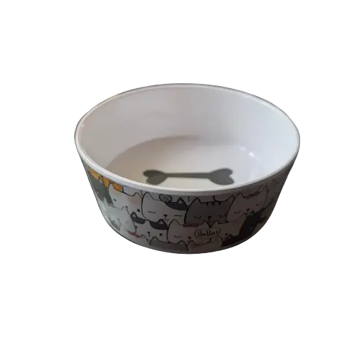 Kitty Party Bowl 