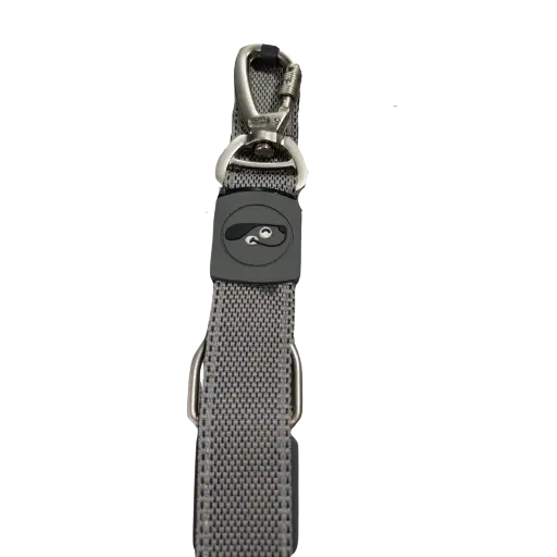Trail Blazer Leash - (XL)