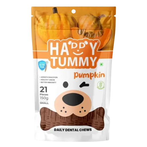 Gnawlers Happy Tummy - Pumpkin