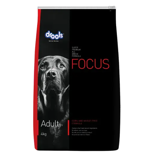 Drools Focus Adult Dry Food - 4 kg