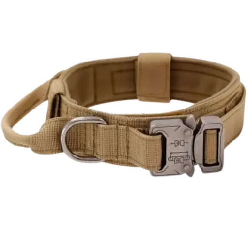 Adventure Collar